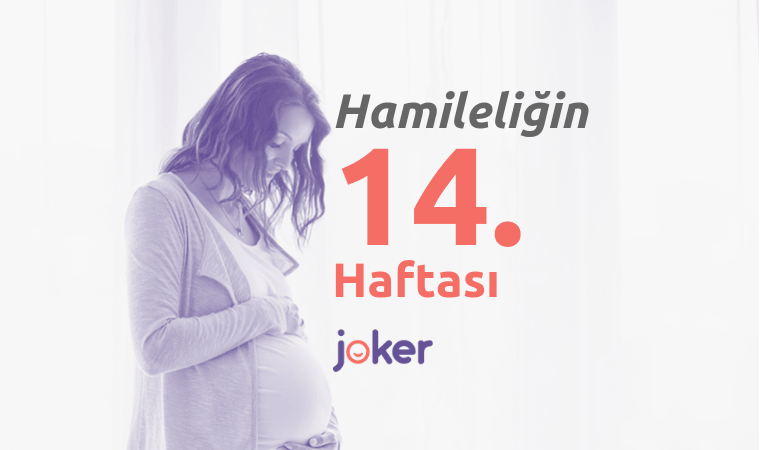 14 Haftalık Gebelik Döneminde Sizleri Neler Bekliyor?