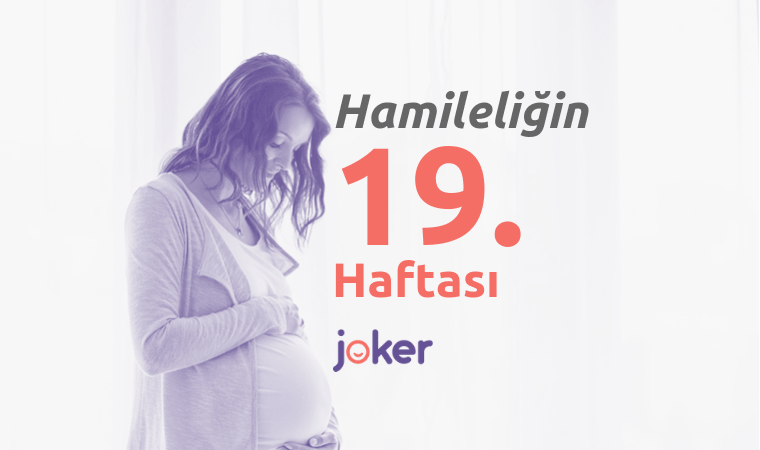 19 Haftalık Gebelik Döneminde Sizleri Neler Bekliyor?