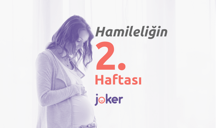 2 Haftalık Gebelik Döneminde Sizleri Neler Bekliyor?